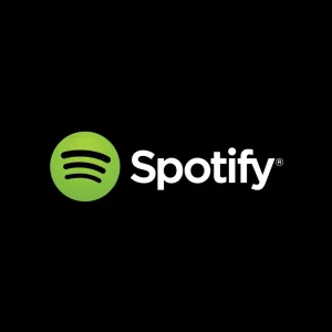 Spotify Premium 12 Month(Individual)